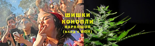 Альфа ПВП Всеволожск