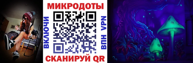 Псилоцибиновые грибы Psilocybine cubensis  Волоколамск 